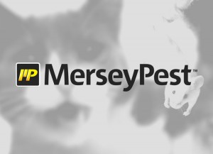 Pest Control Liverpool MerseyPest Logo