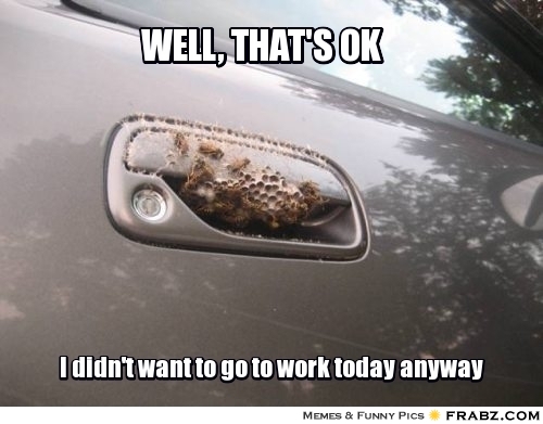 wasp nest under car door handle