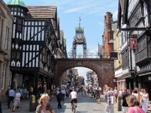 Pest Control Chester