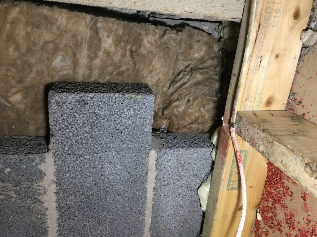 Rat in Extension Roof